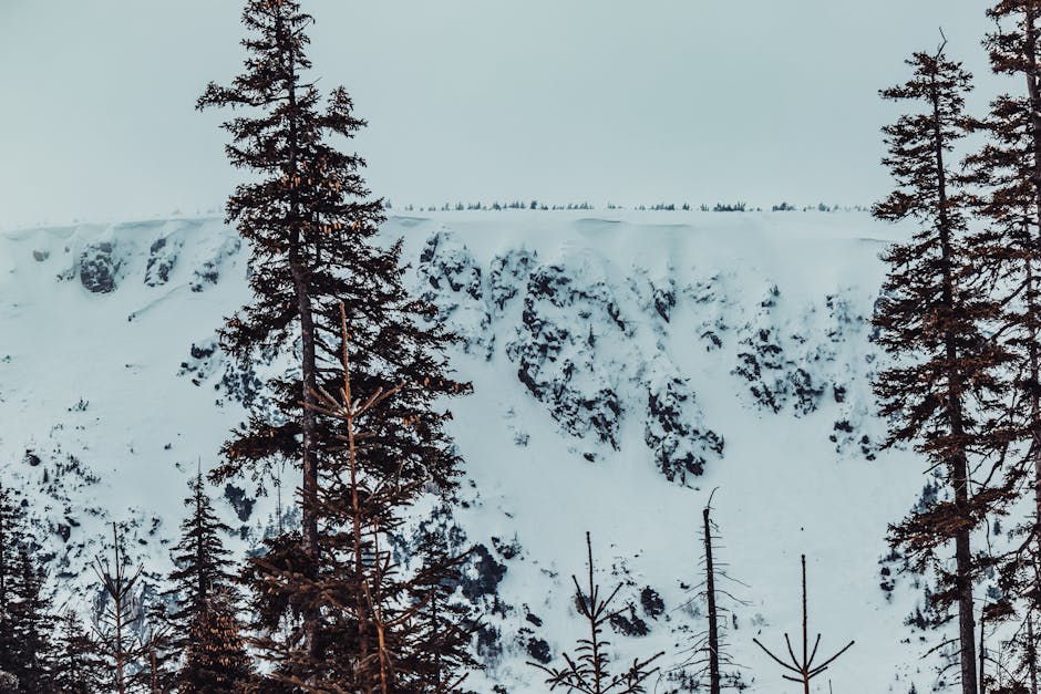 Hack Keuangan 2024: Cara AI Bantu Anda Hemat Jutaan Dan Lunas Utang Lebih Cepat!