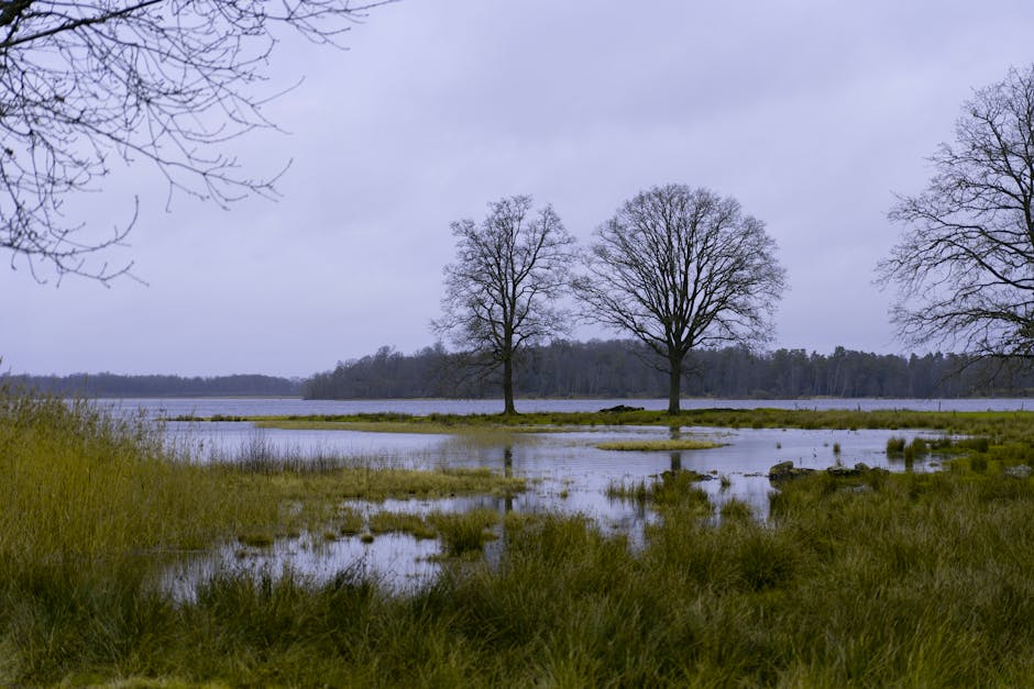 Hack Keuangan 2024: Cara AI Bantu Anda Hemat Jutaan Dan Lunas Utang Lebih Cepat! - Page 3