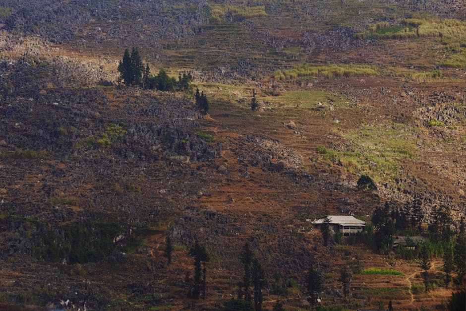 10 Aplikasi Kecerdasan Buatan Yang Mengubah Hidup Anda - Page 2
