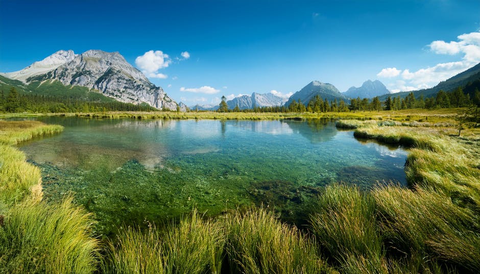 Apakah AI Akan Menggantikan Pekerjaan Manusia? Fakta Dan Mitos