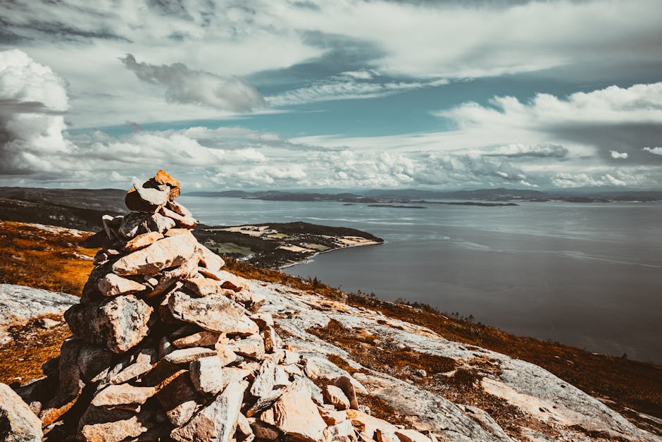Revolusi Keuangan: Bagaimana Kecerdasan Buatan Mengubah Cara Berinvestasi