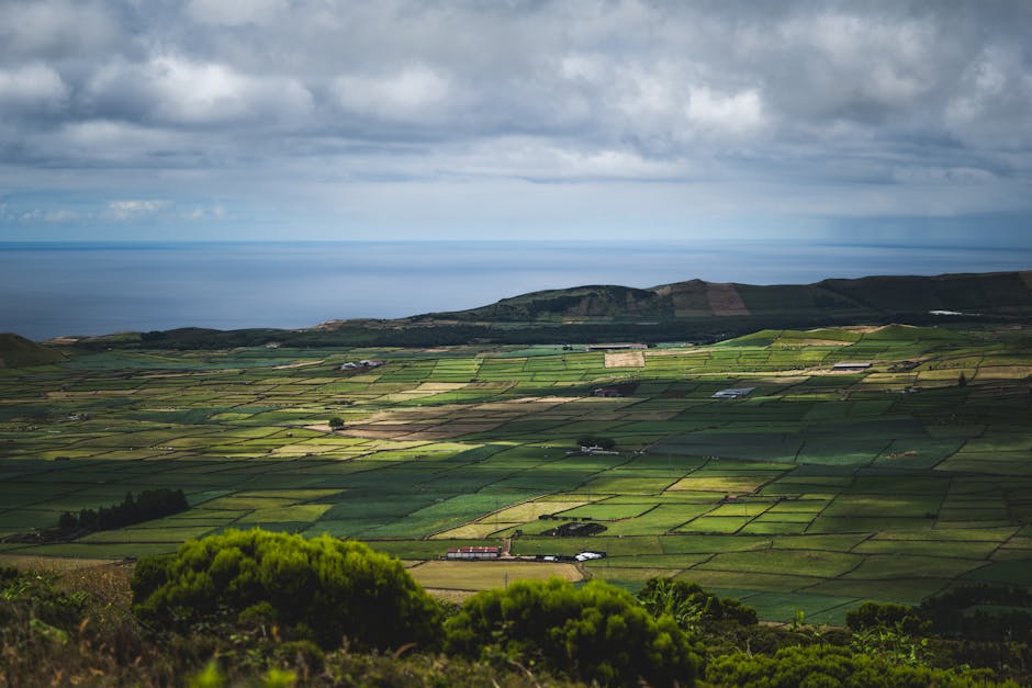 Revolusi Keuangan: Bagaimana Kecerdasan Buatan Mengubah Cara Berinvestasi - Page 2