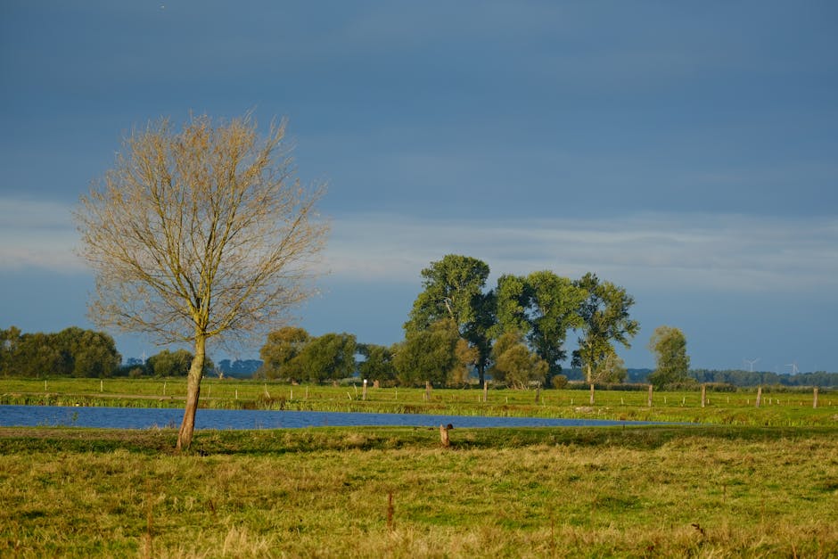 7 Tips Trik Mengatasi Stres Dan Kecemasan Dengan Mudah