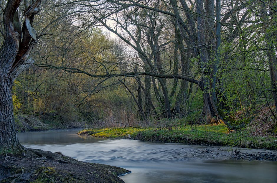 5 Kesalahan Keuangan Yang Harus Dihindari Oleh Pemula - Page 3