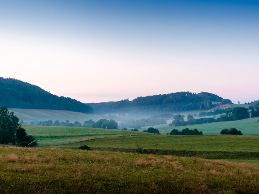 5 Aplikasi Keuangan Yang Bisa Membuat Anda Kaya Raya