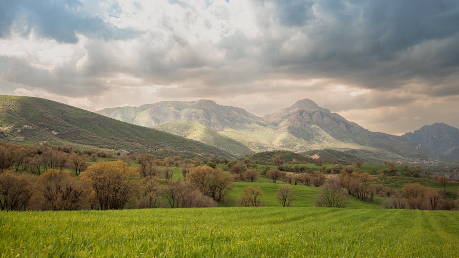 5 Aplikasi Keuangan Yang Bisa Membuat Anda Kaya Raya - Page 3