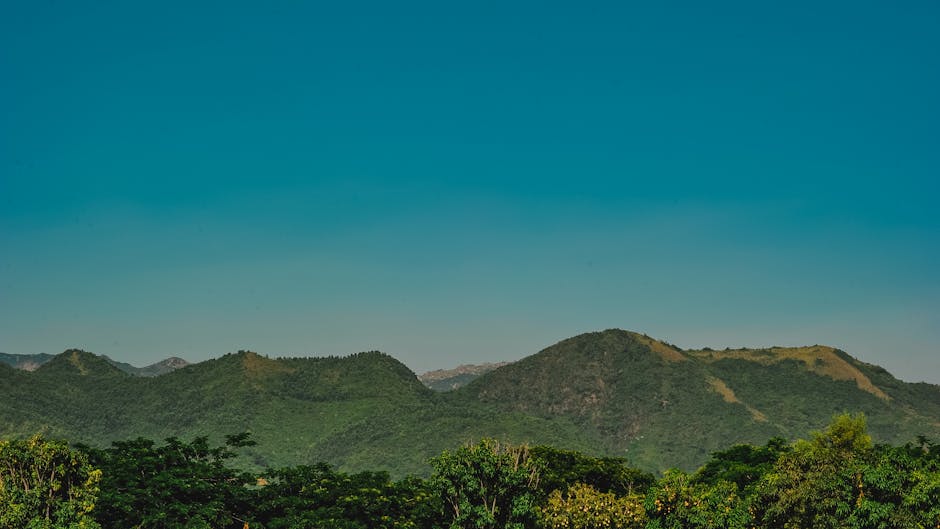 Revolusi Gaya Hidup Dengan AI: Makanan, Olahraga, Dan Tidur Yang Optimal - Page 1