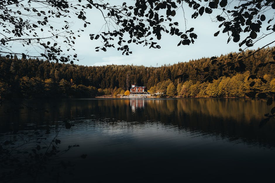 5 Cara Kecerdasan Buatan Mengubah Cara Anda Mengelola Keuangan - Page 1