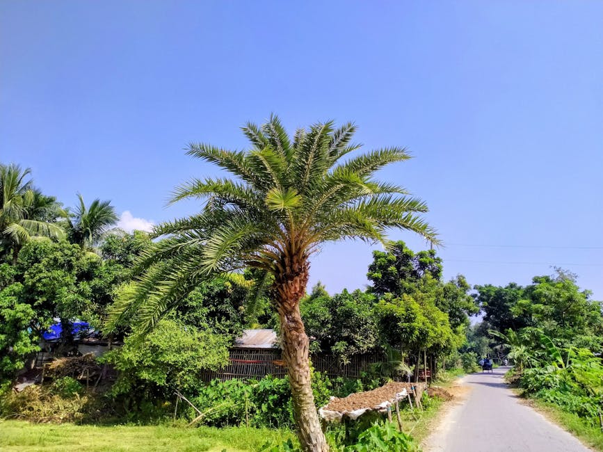 10 Tips Mengubah Hidupmu Dalam 30 Hari - Page 6